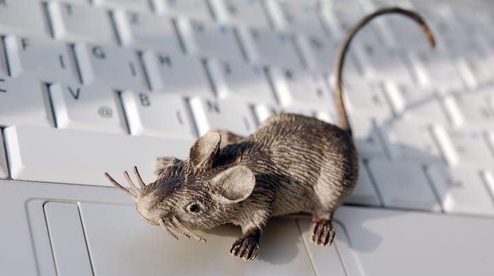SectopRAT Returns, Hiding Inside a Legitimate Application
