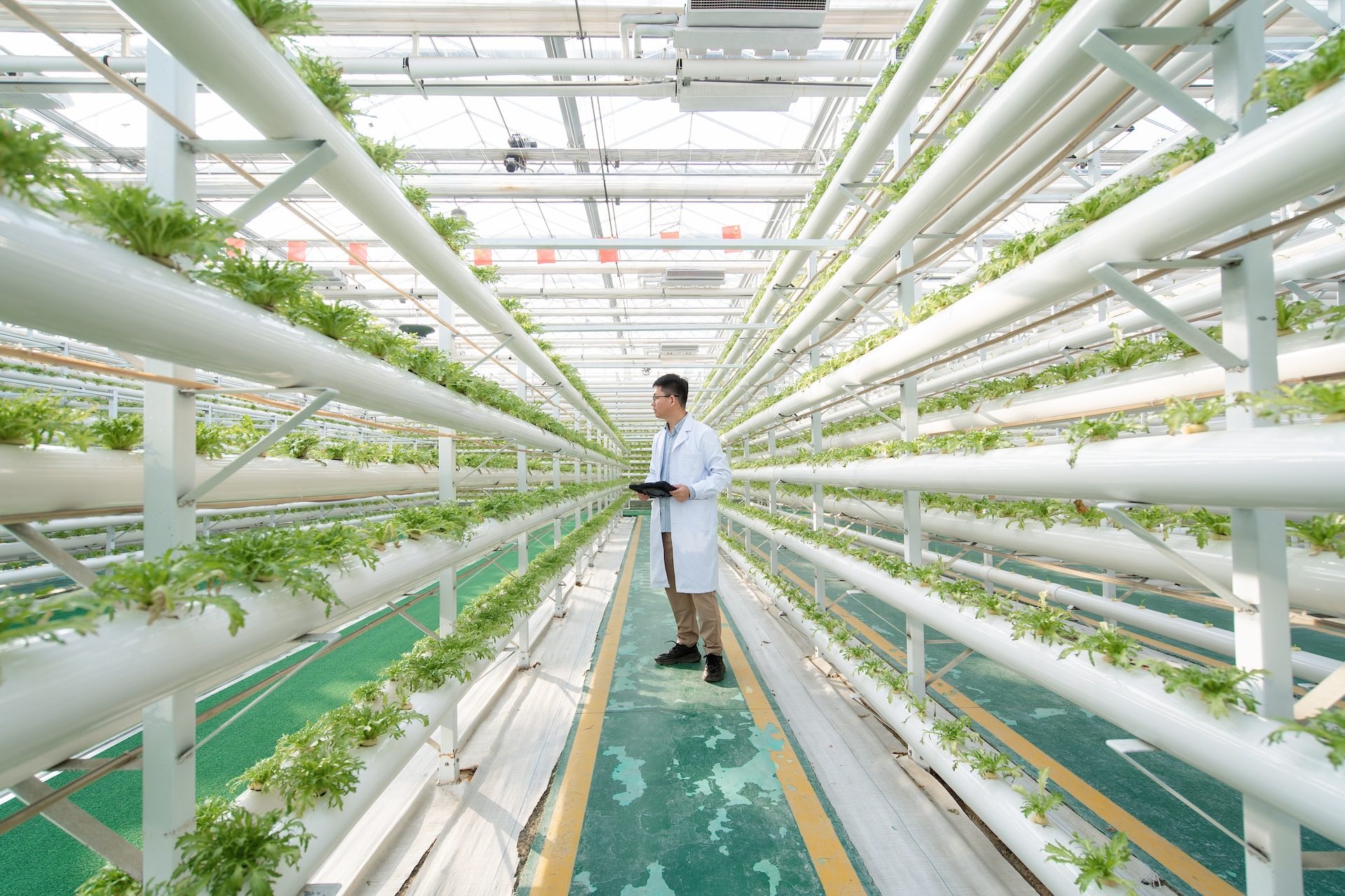 House and Senate members propose legislation for CISA to step up cyber defenses for biotech